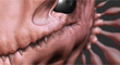 schell_wip_03_thumb.jpg