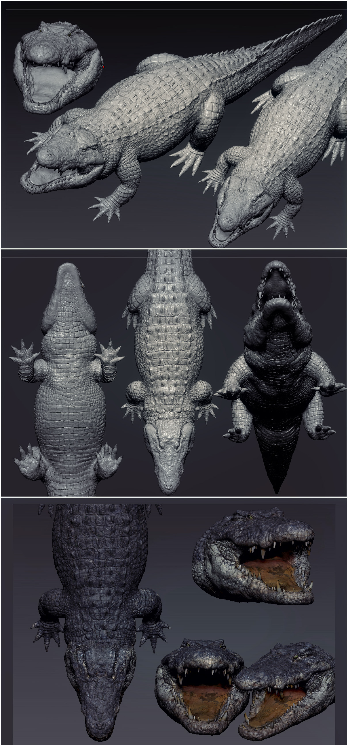 Croc_Model.jpg