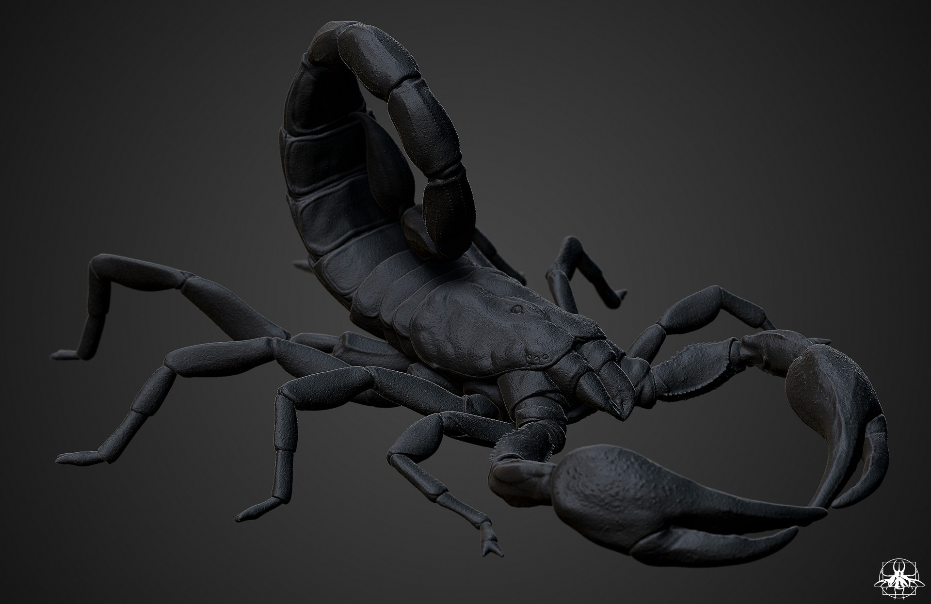 scorpion_04.jpg