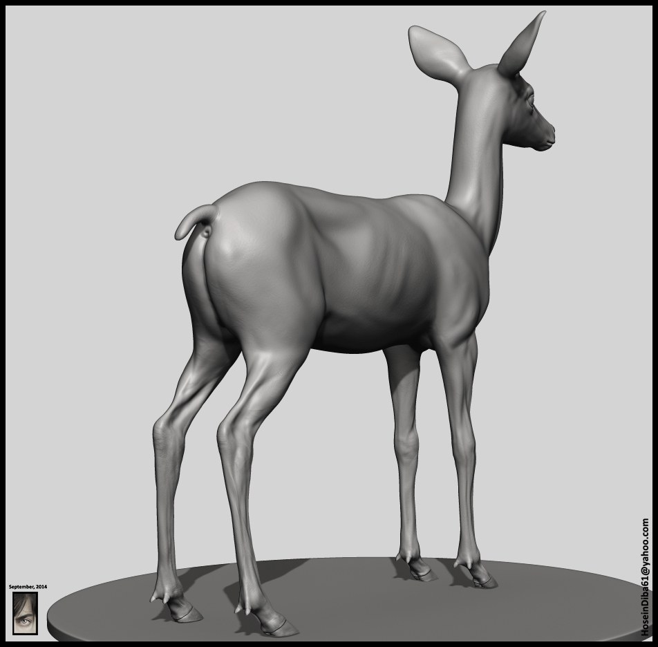 Fawn_Deer_13.jpg