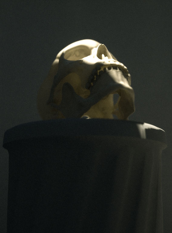 keller_ZSummit_skull3.jpg