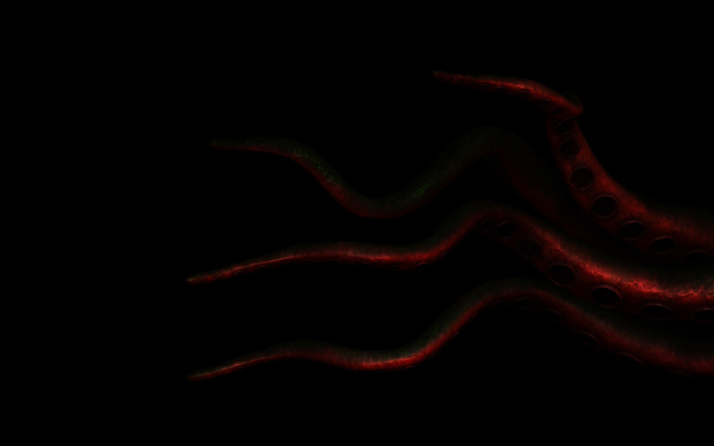 tentacle2sm.jpg