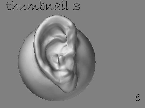 ear3.jpg