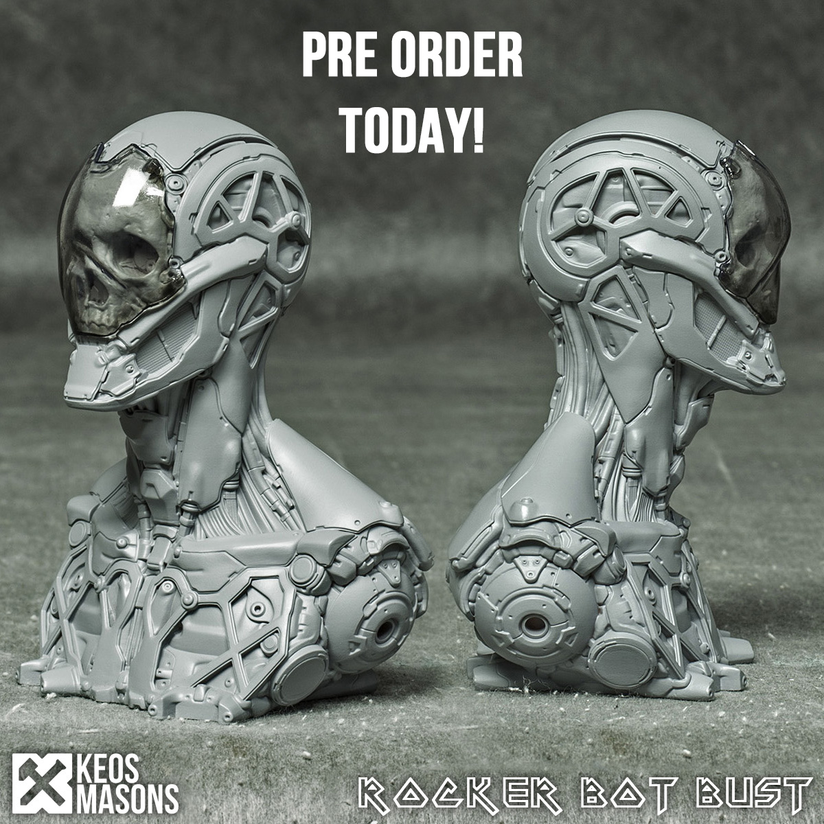 RockerBust_preorder.jpg