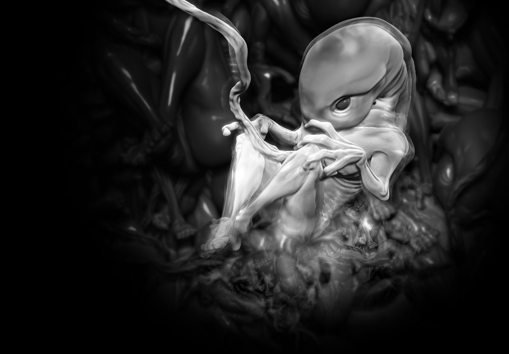 embryo_Final.jpg