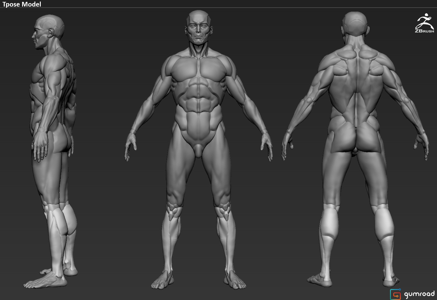 TposeZbrush.jpg