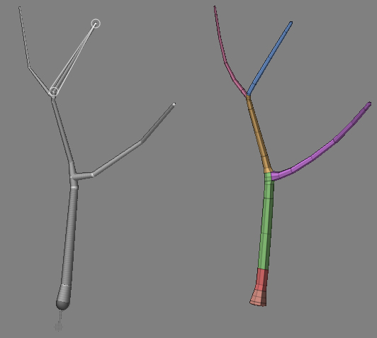 branch.jpg