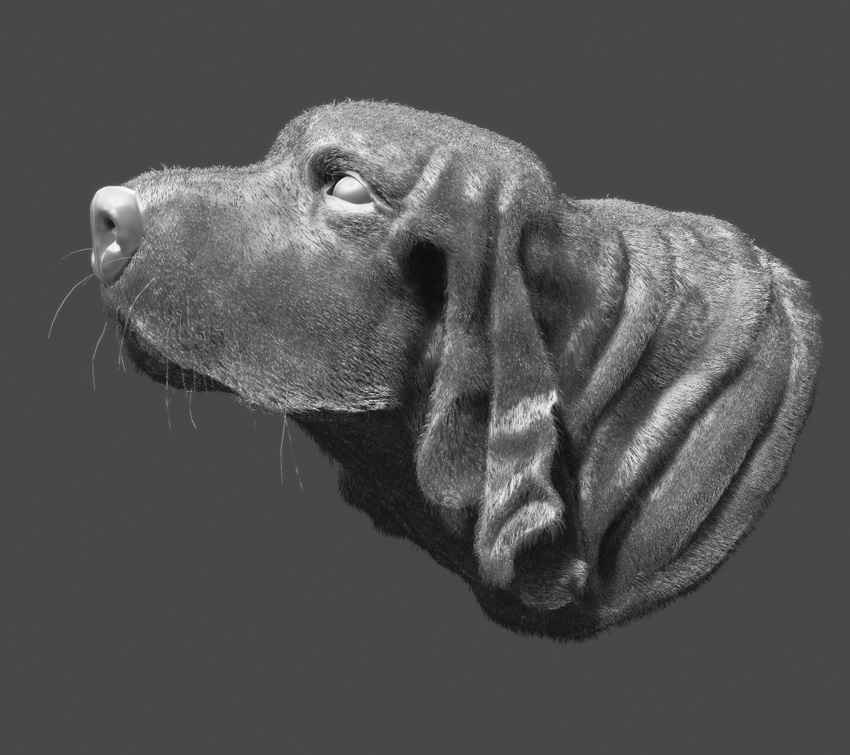 dog_BW.jpg