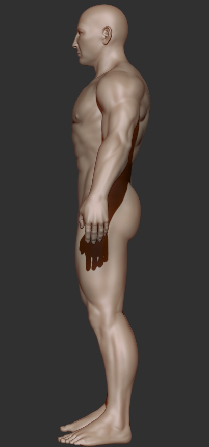athleticman_profile.jpg