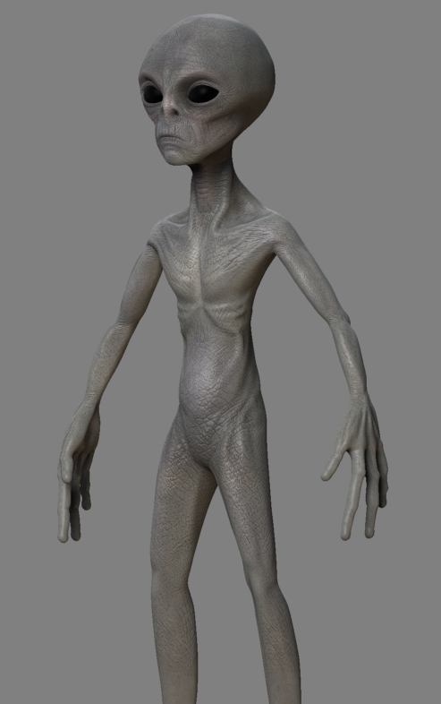 Wip12.JPG