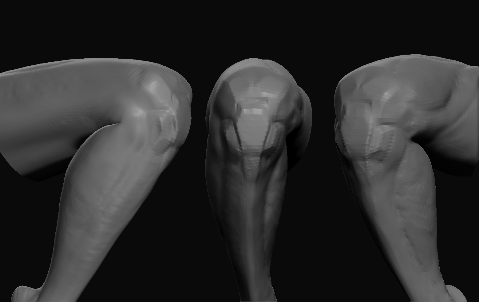 kneestudy.jpg