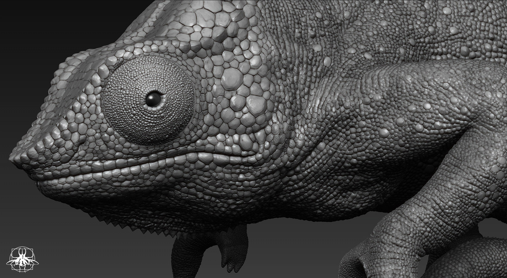 Chameleon_11.jpg