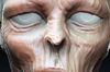 ZThumb.jpg