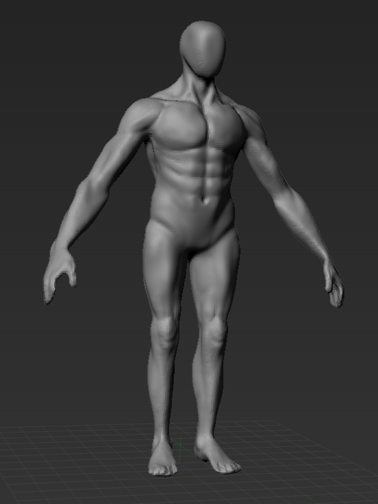 anatomyFront.PNG