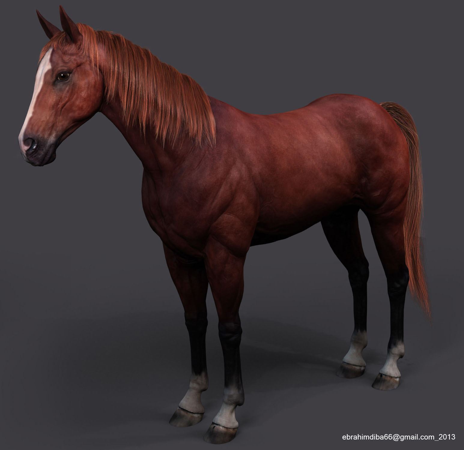 horse_1_(2).JPG