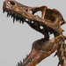 Raptor_Thumb.jpg