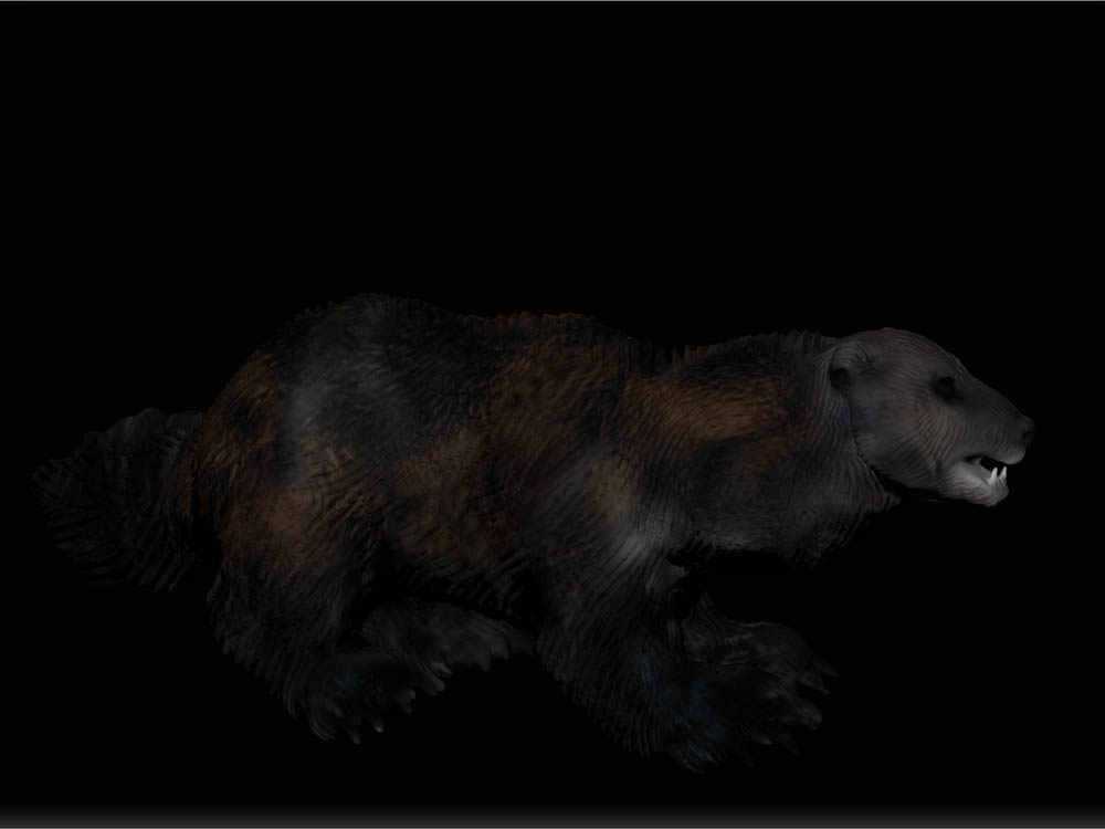 WOLVERINE 2.jpg
