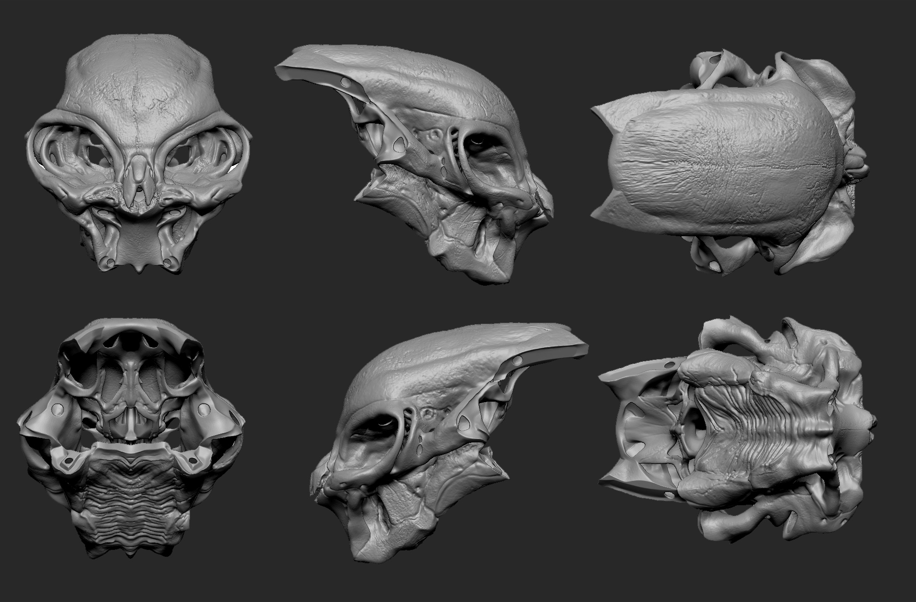 CHA_AlienSkull_20150303_PrintFile_Skull01_VariousViews_DP.jpg