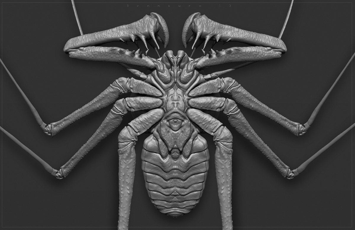 WHIP_spider_02_BM.jpg