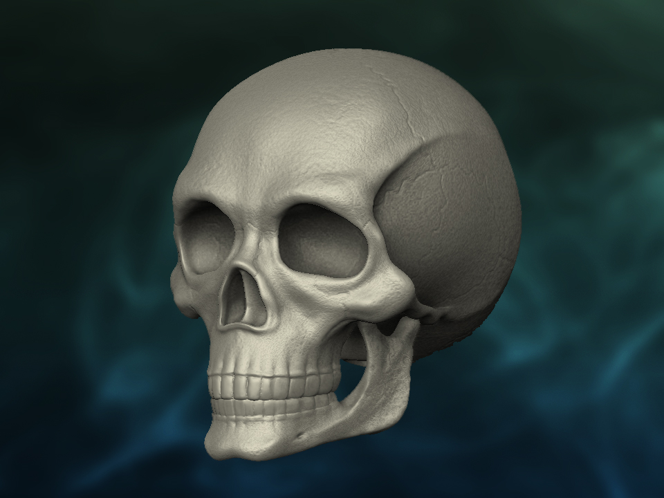 skull.jpg