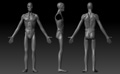 MFC2010_man_study_preview.jpg