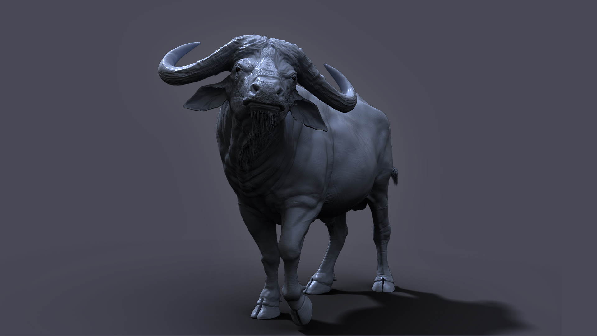 buffalo02.jpg