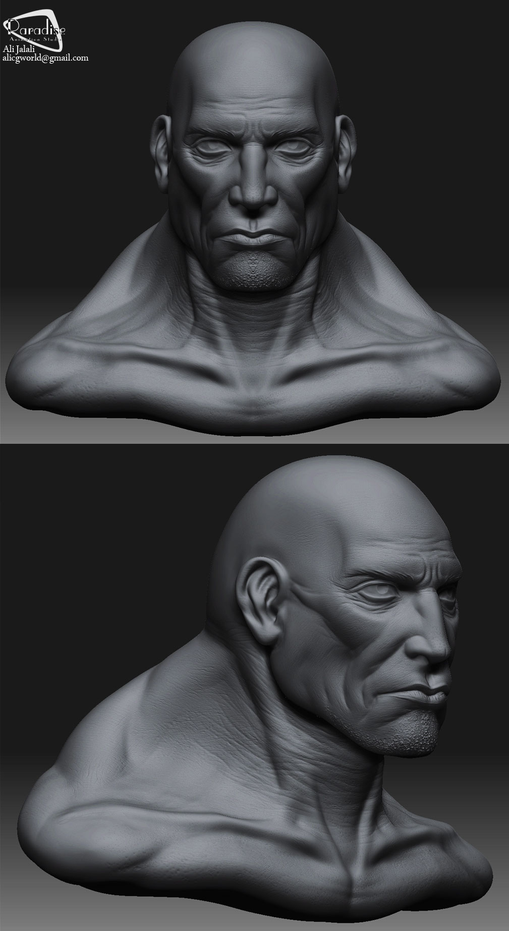 head-.jpg