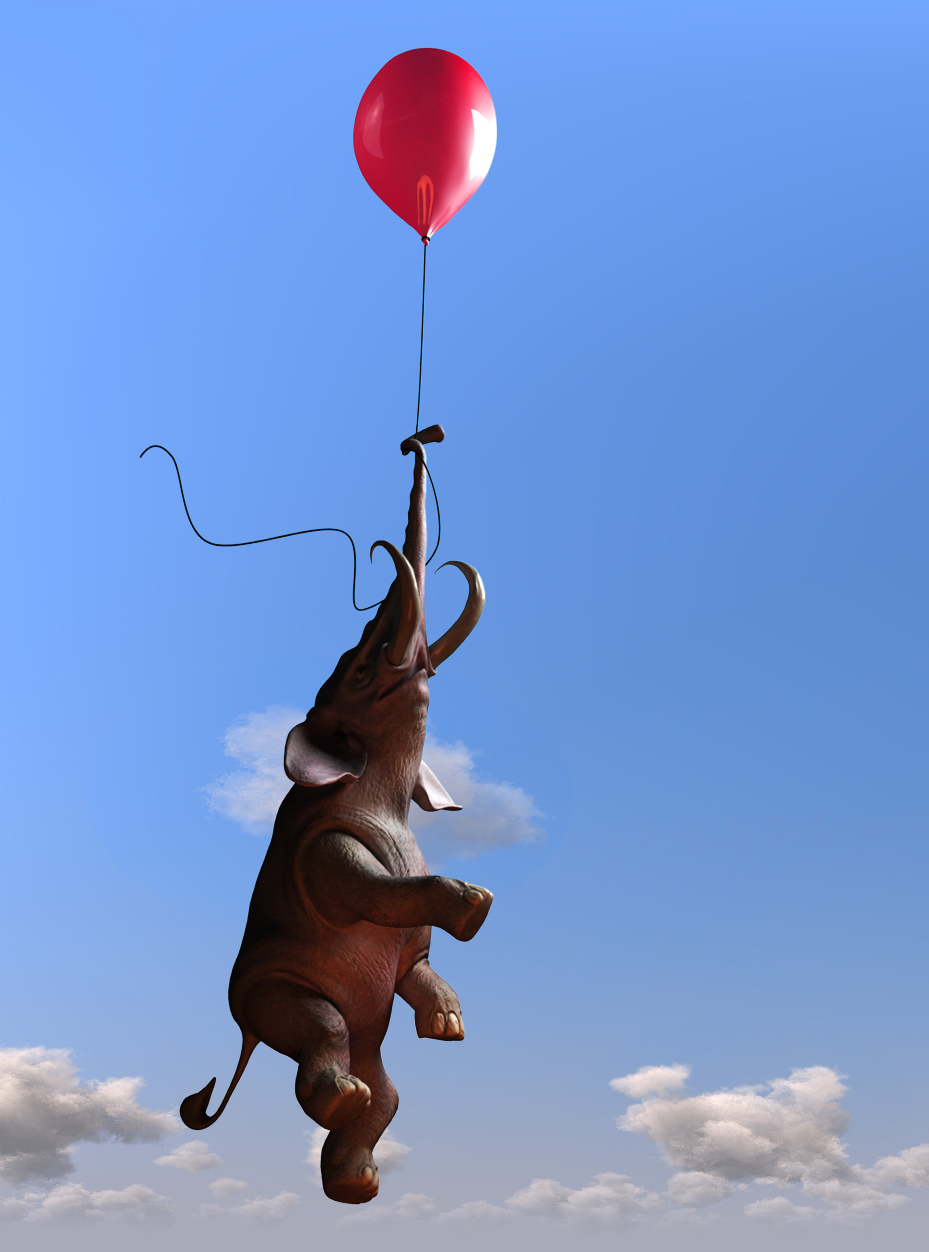 elefante_2.jpg