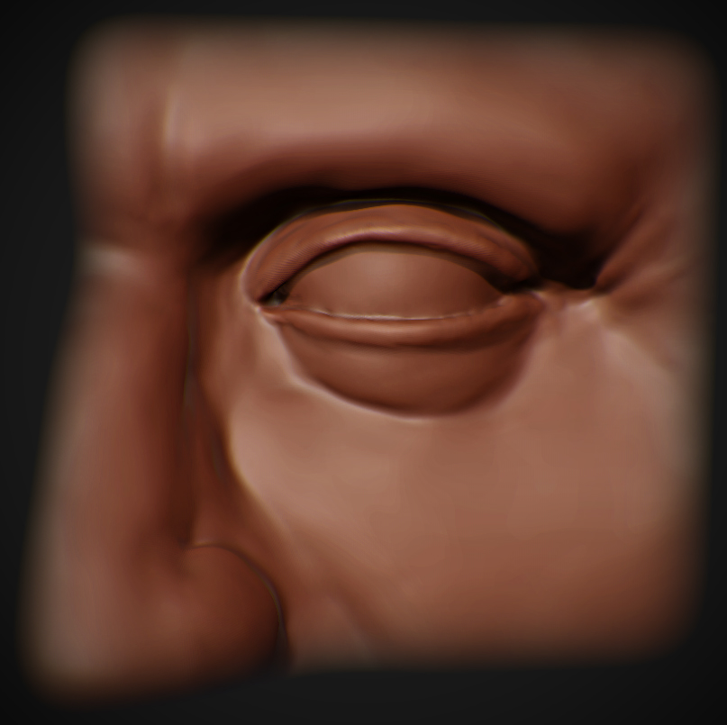eye study wip.jpg