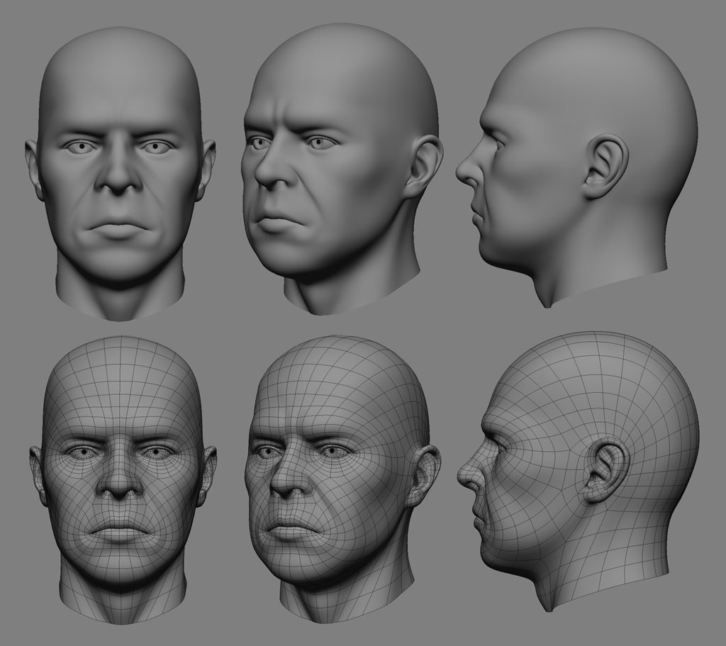 Head.jpg