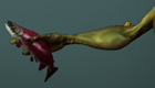 thumbnail.jpg