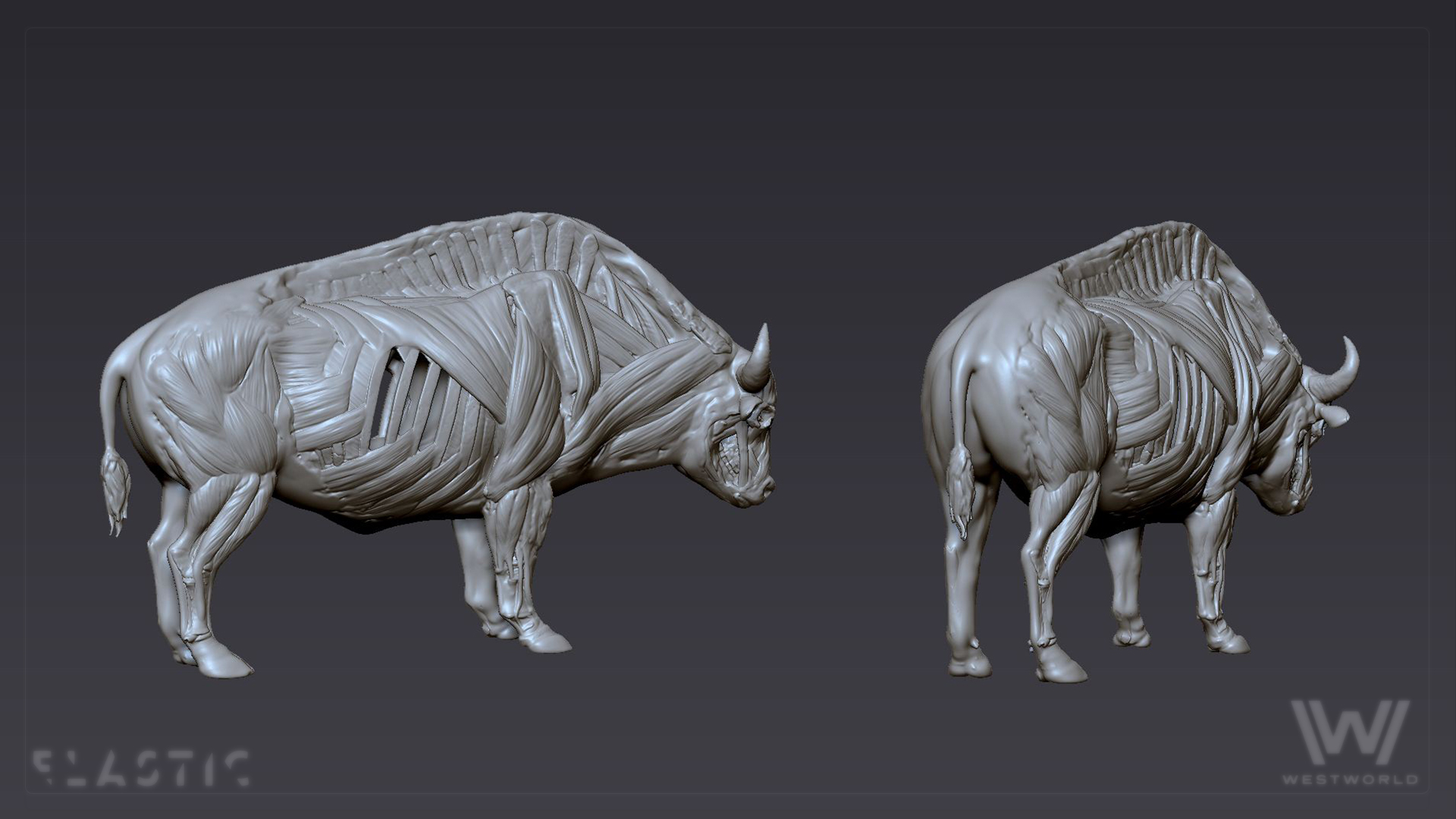 ww2_zbrush_bison_02.jpg