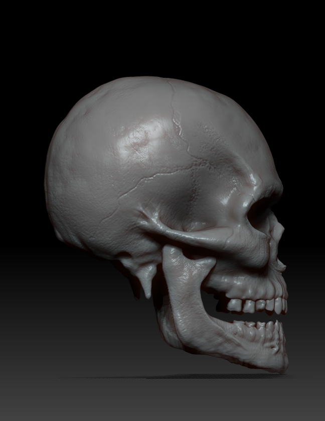 ZBrush Documentdfcxsde34.jpg