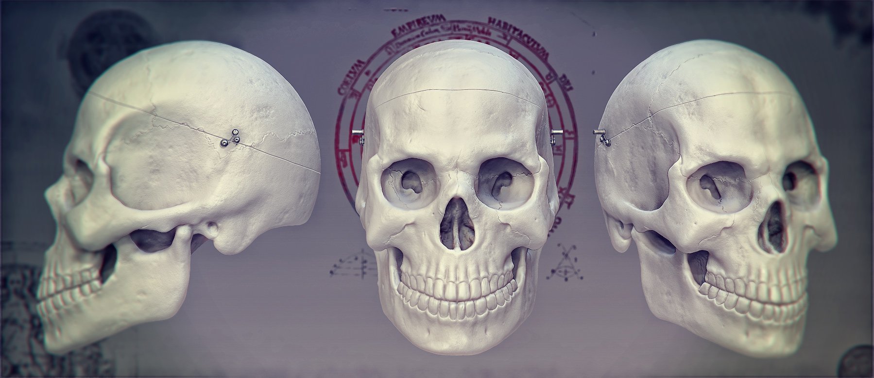 Skull_all_v03.jpg