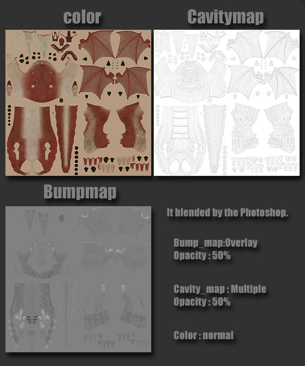 wy_tex01.jpg