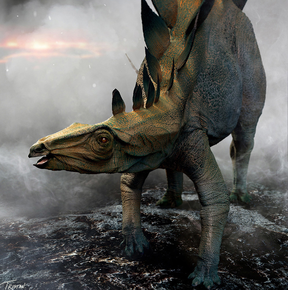 Stegosaurus_2_WEB.jpg