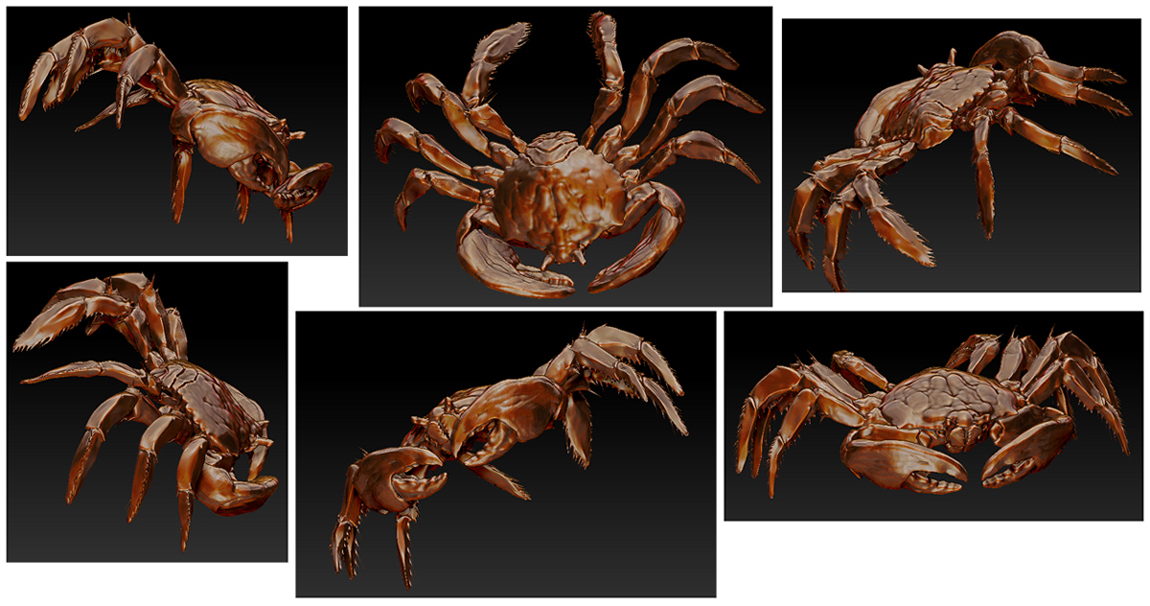crab 02lowr.jpg