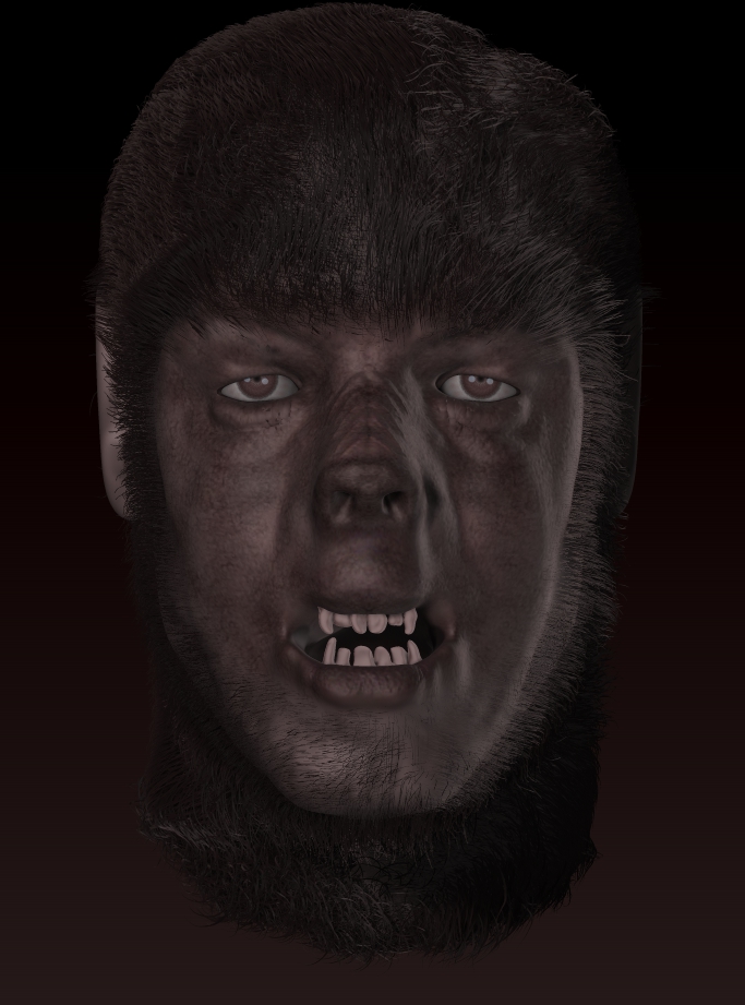 wolf3.jpg