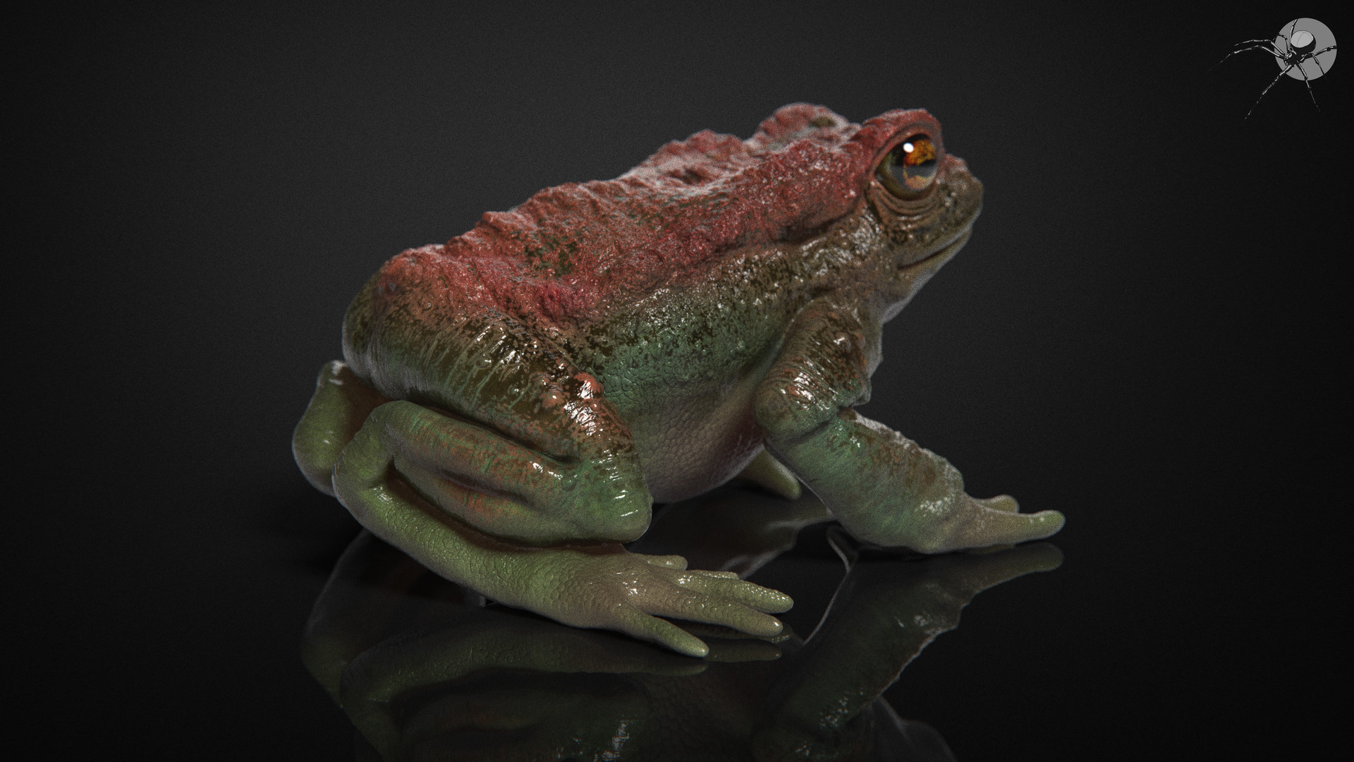 marcus-trolldenier-marcustrolldenier-tox-study-texturing-02.jpg