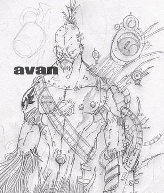 avn2.jpg
