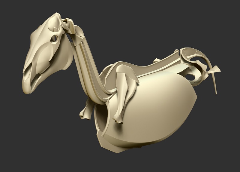horse_skeleton05a.jpg