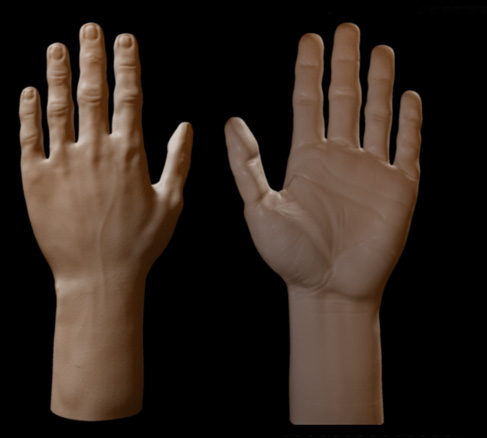 hand_Ren.jpg