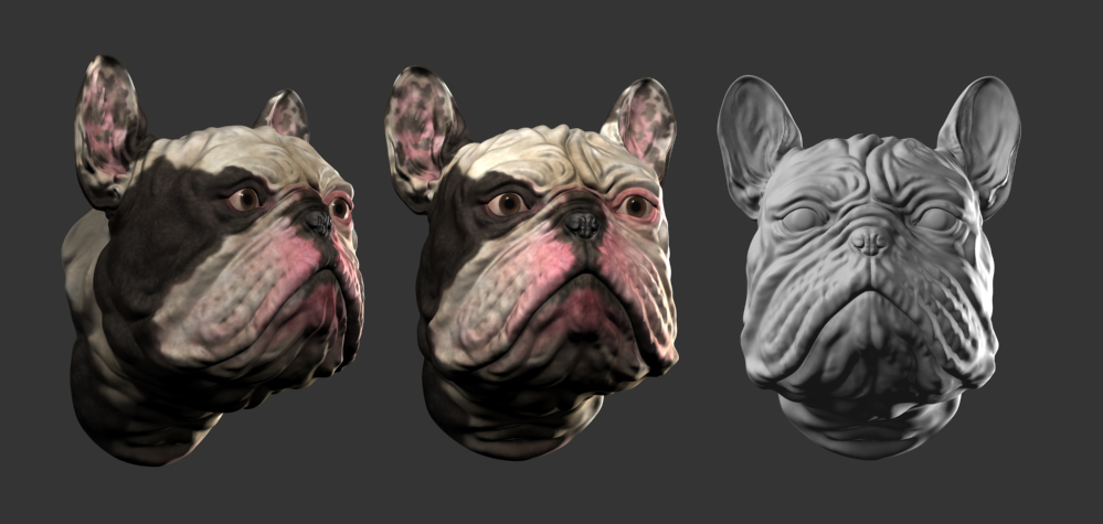 dog.jpg
