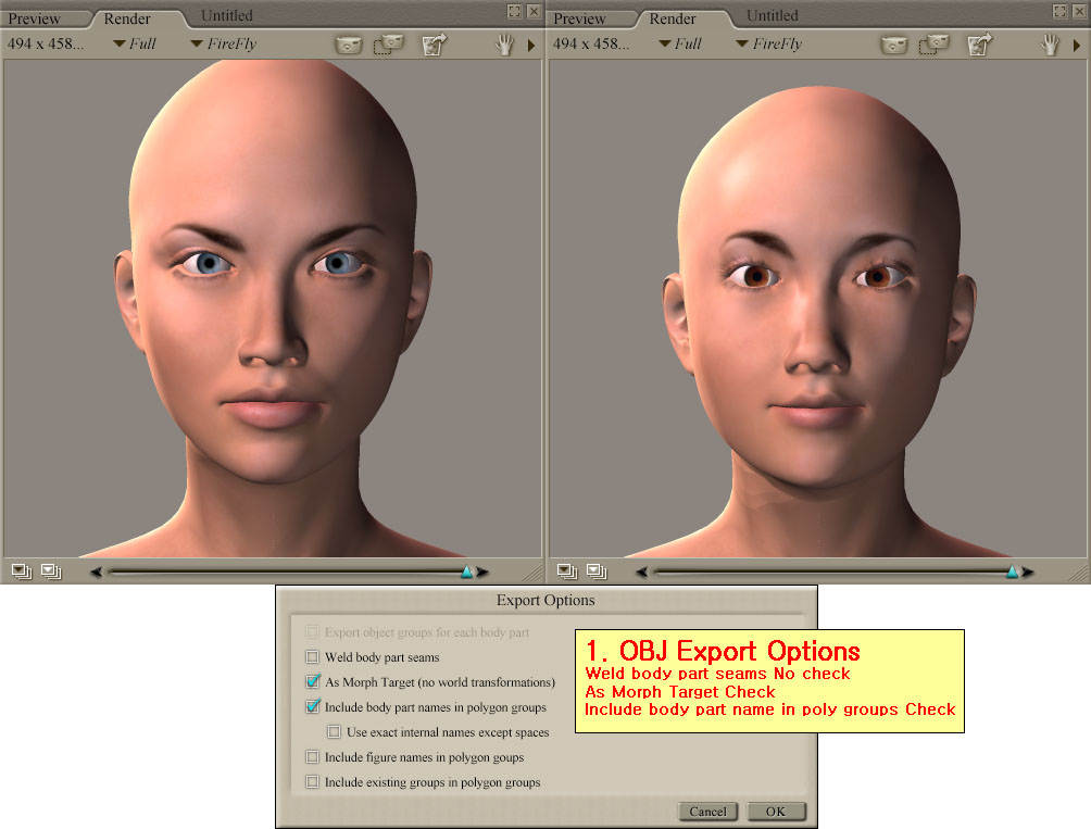 Poser2ZBrush_Morph01.jpg