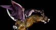 DRAGON SPOTLIGHT 8.jpg