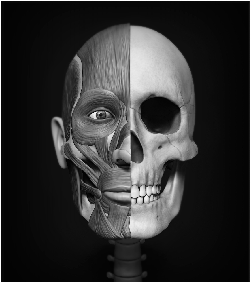 Untitled-1.jpg