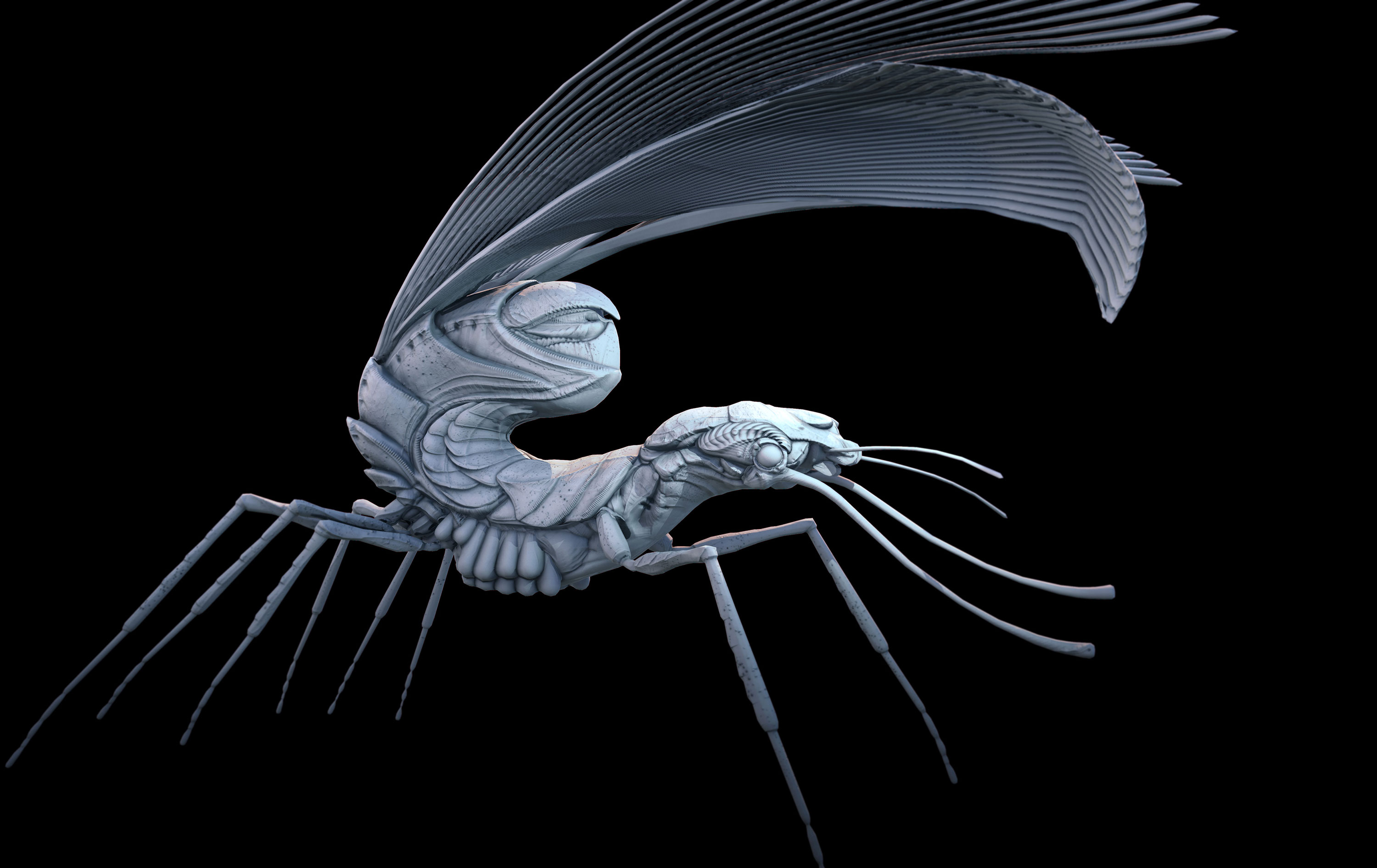 render01_04.jpg