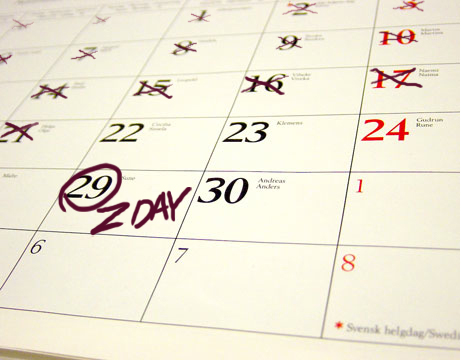 Z Day!.jpg