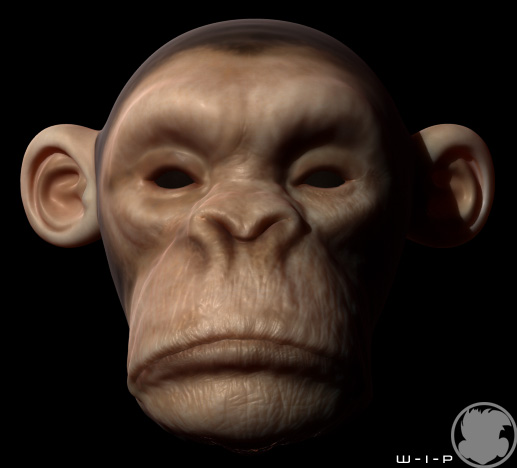 monkeyTest.jpg