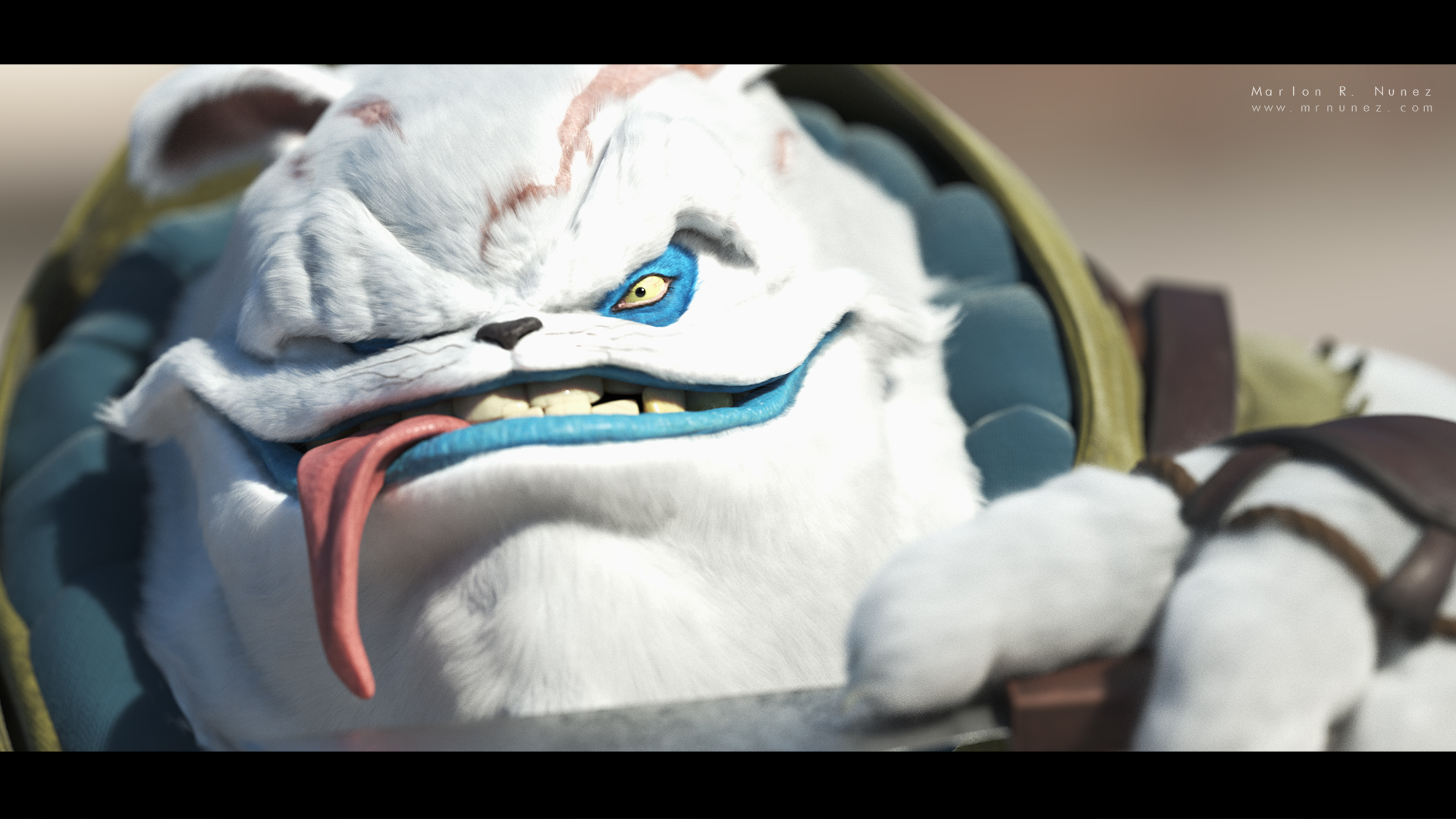 Main_closeUp.jpg